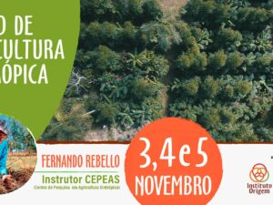 Curso presencial de Agricultura Sintrópica - 3, 4 e 5 de Novembro, 2023.